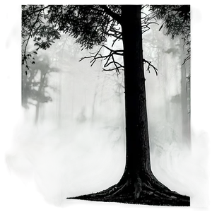 Foggy Forest Silhouette PNG 79