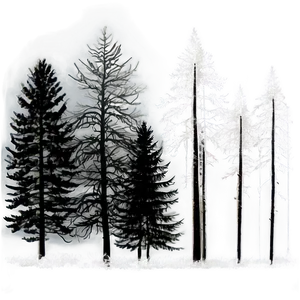 Foggy Forest Smoke PNG Bih95
