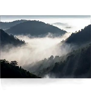 Foggy Landscape Png Hgy13 PNG image