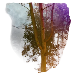 Foggy Night Transparent PNG 05262024 PNG