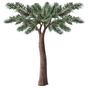 Foggy Pine Trees PNG Rrh93