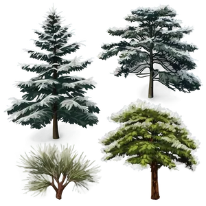 Foggy Pine Trees PNG Yar18