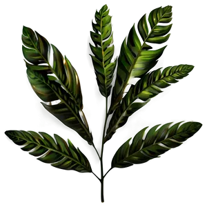 Foliage Plant Png 84 PNG image