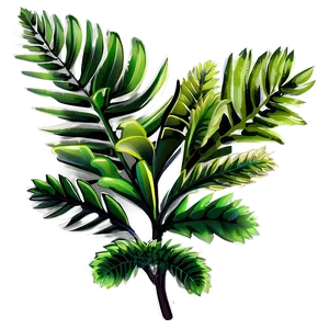 Foliage Plant Png Qmw PNG image