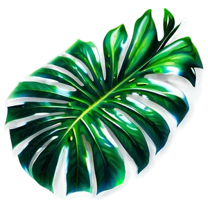 Foliage Tropical Leaf PNG 06122024