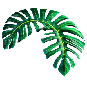 Foliage Tropical Leaf PNG Uuc PNG