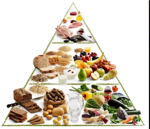 Food Pyramid Nutrition Guide PNG image