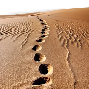 Footprints On Sandy Desert PNG 06242024 PNG