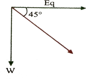 Force_ Vector_ Diagram_at_45_ Degrees PNG