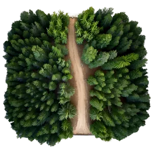 Forest Bird's Eye View Png Cvb39 PNG image