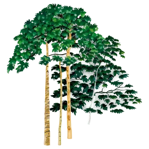 Forest Canopy From Below PNG 22 PNG