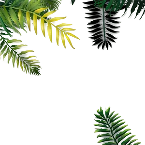 Forest Canopy Top Clipart PNG 06262024 PNG