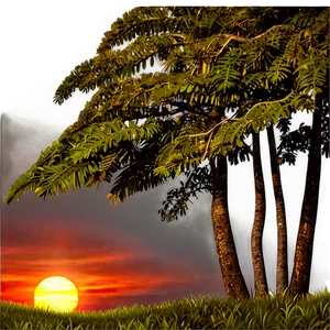 Forest Edge Sunset PNG 46 PNG