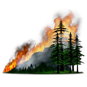 Forest Fire Night Png Vxq82 PNG image