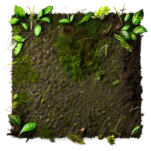 Forest Floor Dirt Texture PNG 2