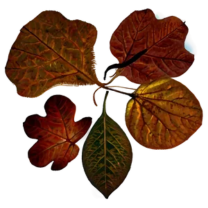 Forest Floor Leaves Fall Png Pxk PNG image