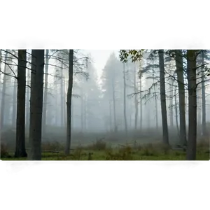 Forest Fog Png Uwg92 PNG image