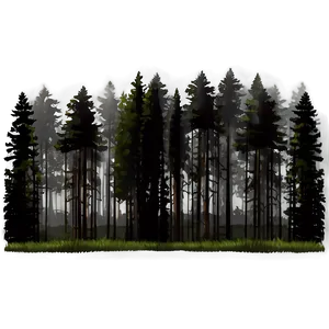 Forest Fog Transparent PNG Ggd61