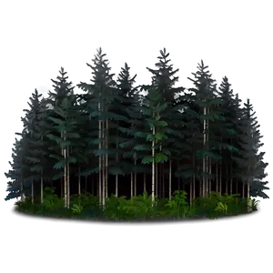 Forest Foggy Dawn Png 05032024 PNG image