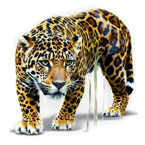 Forest Guardian Jaguar PNG Bta PNG