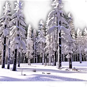 Forest In Winter White Png Kow PNG image