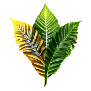 Forest Leaves Png 88 PNG image