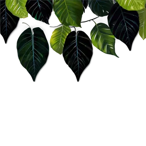 Forest Leaves PNG Tvh