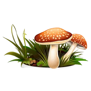 Forest Mushroom Clipart PNG Dfa65 PNG