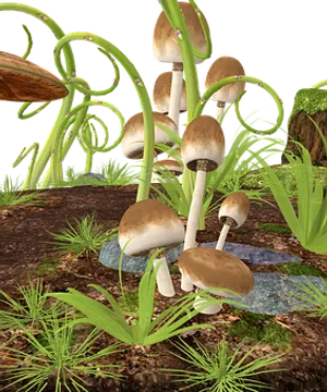 Forest_ Mushrooms_ Digital_ Rendering PNG image