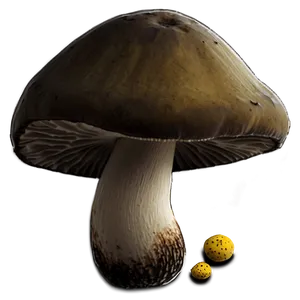 Forest Mushrooms Png 05242024 PNG image