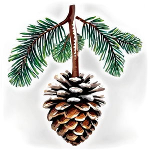 Forest Pine Cone Png 06202024 PNG image