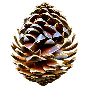 Forest Pinecone Artwork Png Bgx26 PNG image