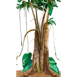 Forest Restoration Challenges PNG 28 PNG