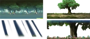 Forest Scenes Variations.jpg PNG image