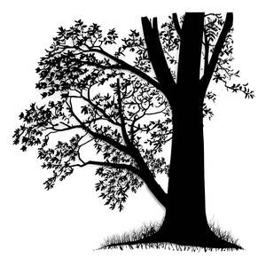 Forest Silhouette C PNG image