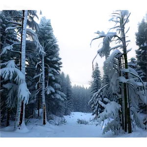 Forest Snowfall Serenity PNG 05032024