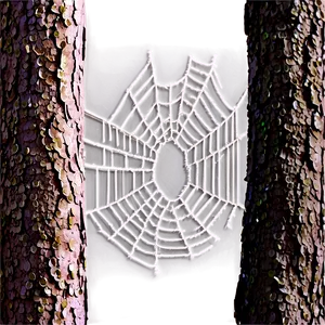 Forest Spider Web Artwork PNG image