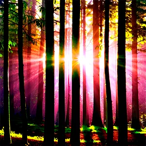 Forest Sunrise Glow Png Jxy PNG image