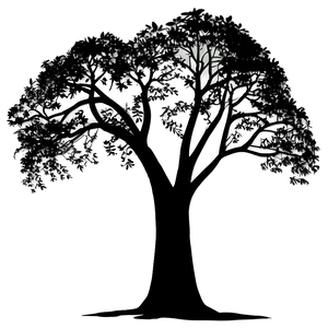 Forest Tree Silhouette Png 05252024 PNG image