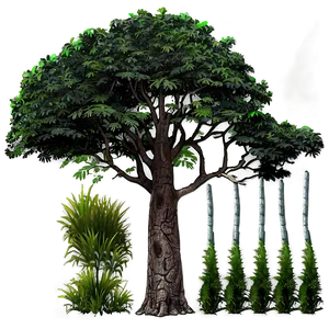 Forest Trees C PNG image