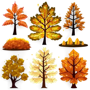 Forest Trees During Autumn PNG 06262024 PNG