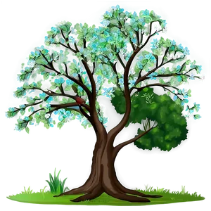 Forest Trees In Spring PNG 46