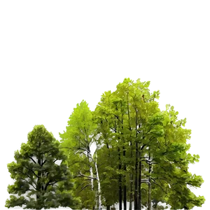 Forest Trees In Spring PNG 52