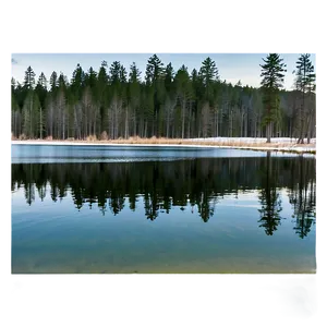 Forest Trees Reflection Lake PNG 58