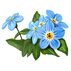 Forget-me-not Flower Drawing PNG 05252024