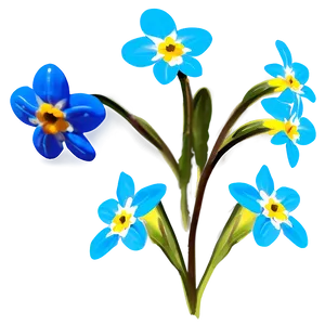 Forget-me-not Flower Drawing PNG Geq