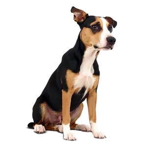 Forlorn Fido PNG Rnj PNG