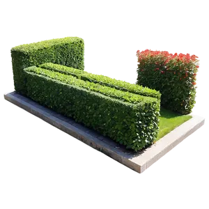 Formal Garden Shrubs Png 06122024 PNG image