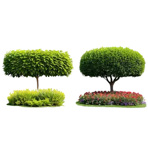 Formal Garden Shrubs PNG Tpy PNG