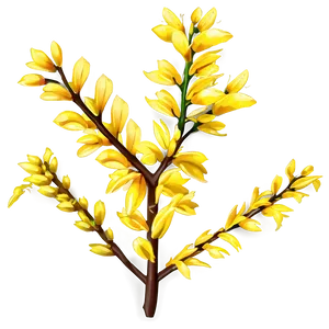 Forsythia Flower Bush PNG Nnh